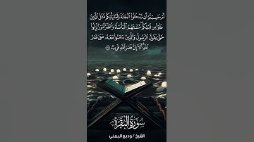 سورة البقرة | Al-Baqarah | آية 214 | الشيخ وديع اليمني