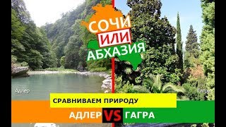 Адлер и Гагра | Сравниваем природу 🌞 Кубань VS Абхазия - куда ехать?