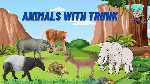Trunk animals name|long trunk animal|trunk animal|animals with trunk