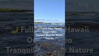 Hawaii Tide Pools 🌊 Big Island Ocean Waves on Lava Rocks | Sleep Sounds & TV Ambience