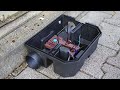 Vidéo: Lot de 10 postes à rats Vanguard avec tapettes et appâts