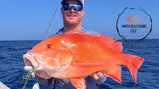 Neap tides still produce fish!! #fishing #jigging