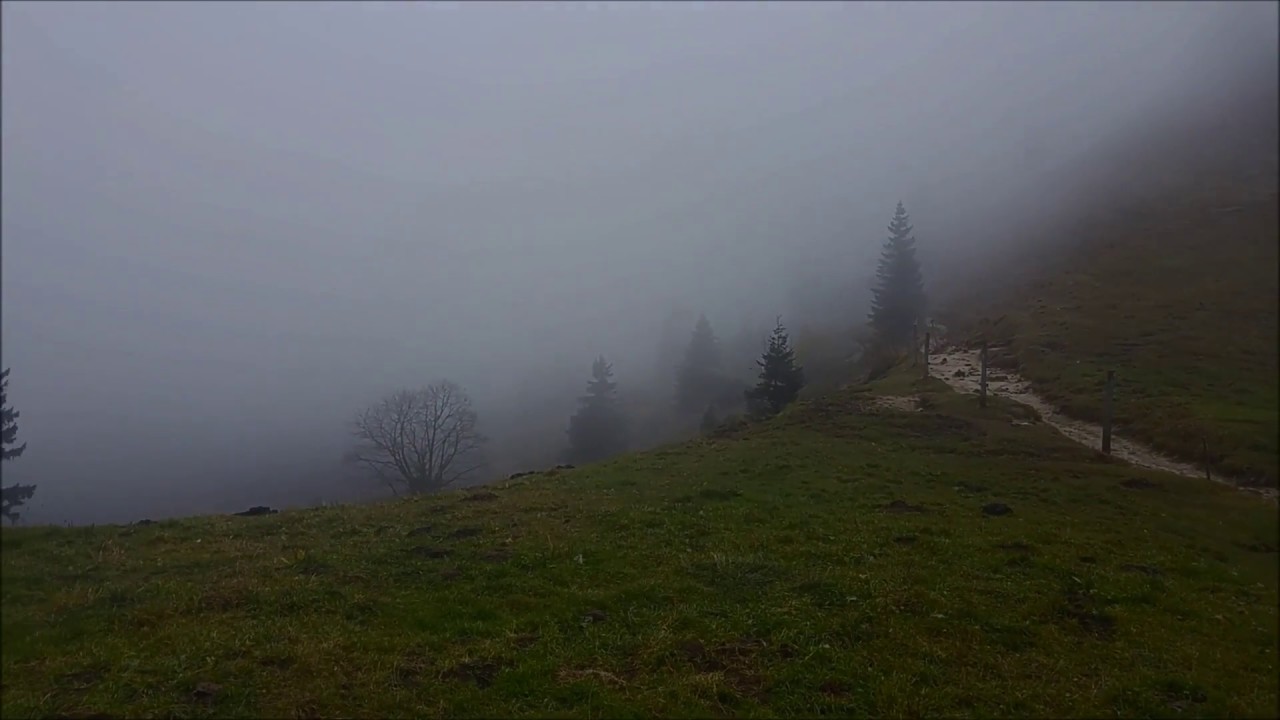 Image result for fog while hiking