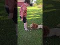 Dogs and their shenanigans! #31daysofhalloween #liontamer #bloopers