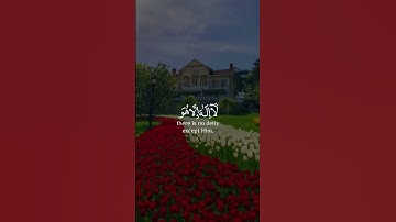 واذكر اسم ربك وتبتل اليه تبتيلا | قران كريم | عبدالرحمن مسعد | حالات واتس #حالات_واتساب