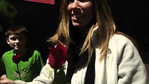 Proposal