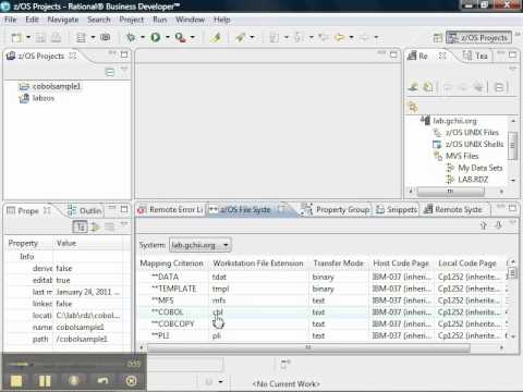 Rational Developer for z: Adding a File System Mapping for Members of MVS Data Set