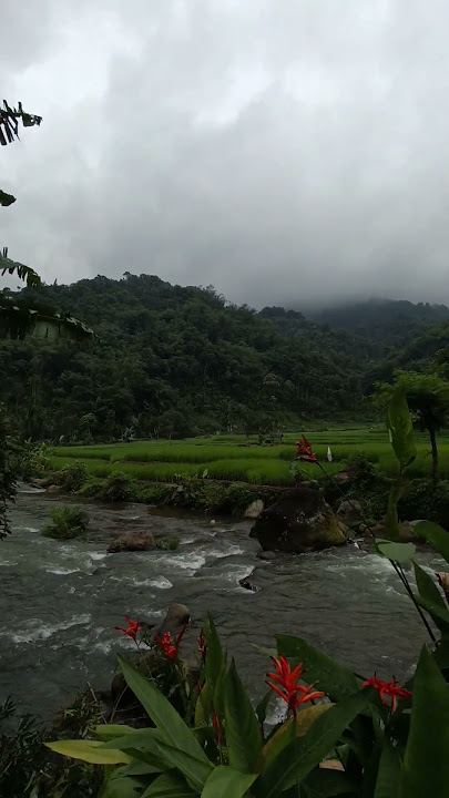 view depan warung kopi umi tuti#viral #warungkopi