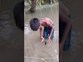 Flood Water Tengra Fish Catching in Small Boy #shorts