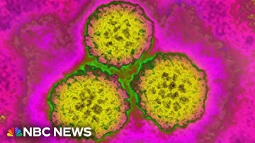 Cancer caused by HPV is increasing in some women in the U.S.