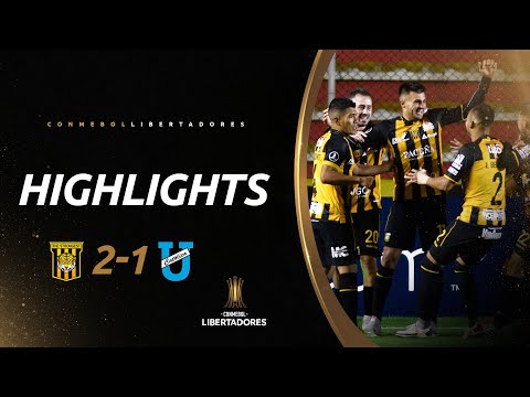 The Strongest U. Catolica Goals And Highlights