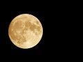 森昌子「童謡・十五夜お月さん」Night with a full moon