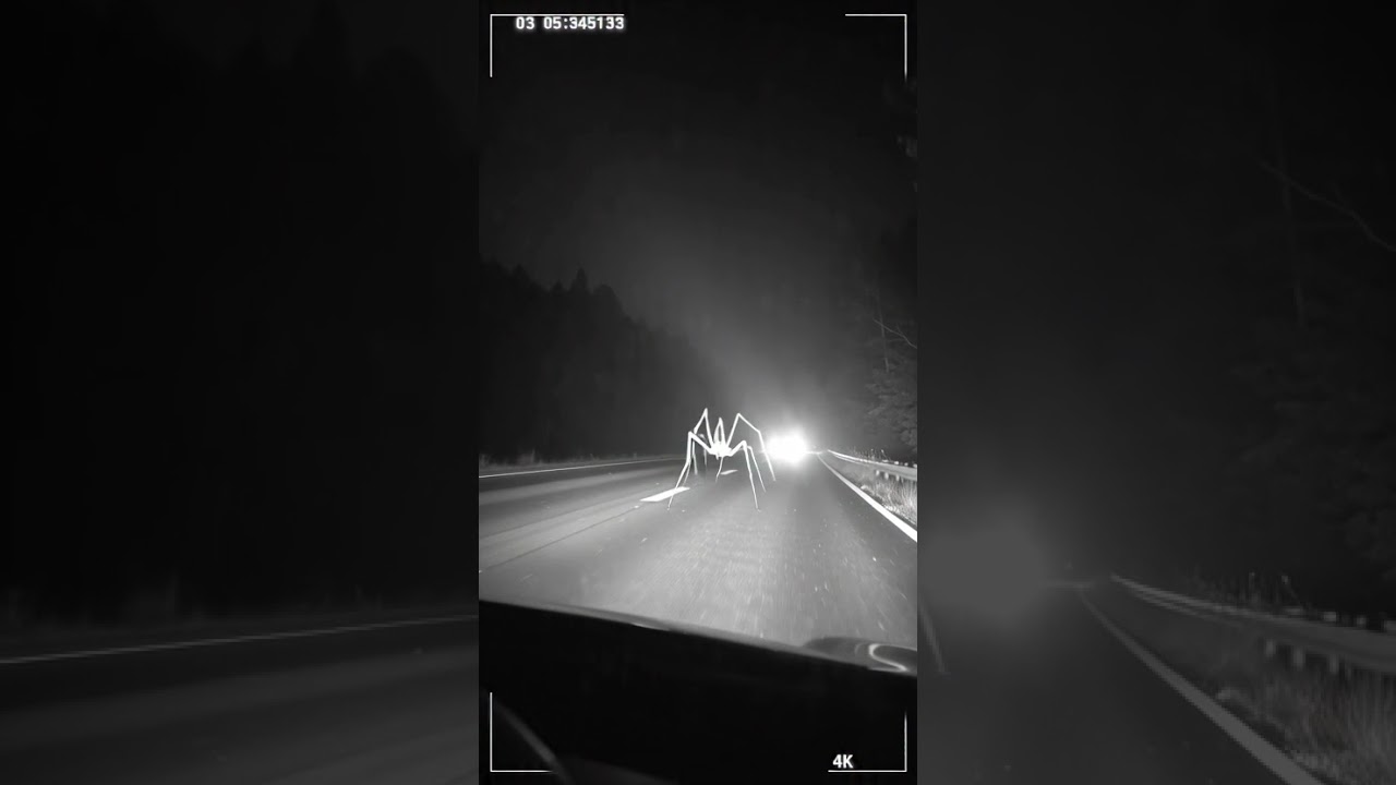 Real Skinwalker? Terrifying Pale Creature Crosses Highway at 3 AM