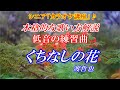 【シニア　カラオケ講座】くちなしの花　渡哲也　※低音の出し方をゆっくり解説　まるでカラオケ教室に通っているような動画です　講師：末光　【シニアが最高！】もよろしく↓こちら