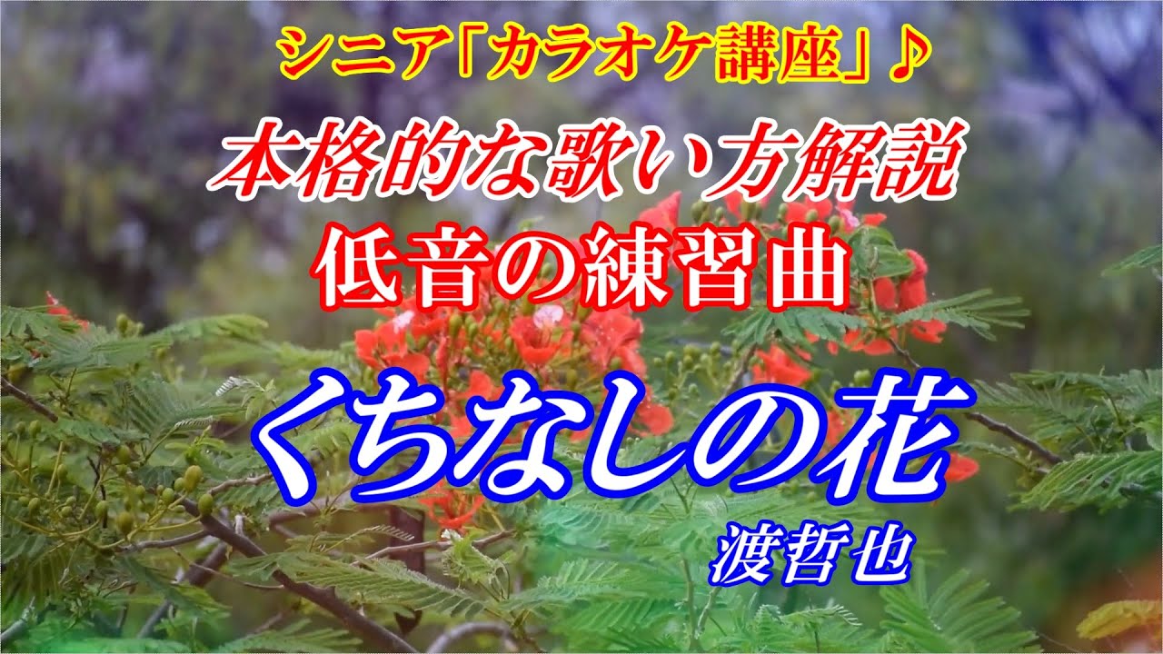 【シニア　カラオケ講座】くちなしの花　渡哲也　※低音の出し方をゆっくり解説　まるでカラオケ教室に通っているような動画です　講師：末光　【シニアが最高！】もよろしく↓こちら