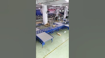 OCR dynamic dws sorting system with shipping label #dwsmachine