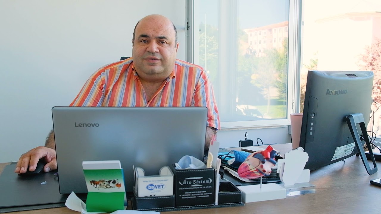 Köpeklerde Gençlik Hastalığı (Distemper)