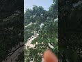 গাছ ভর্তি কদম ফুল