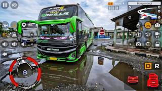 Bus Nabilla Qq Trans Jb5 24 Cortas Bawa Penumpang Study Tour Ke Bali