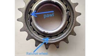 Ratchet and pawl mechanism (freewheel)