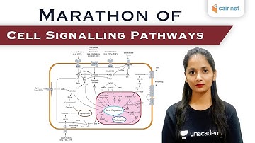 Marathon | CSIR NET Life Science | Cell Signalling Pathways | By Kumkum Gautam