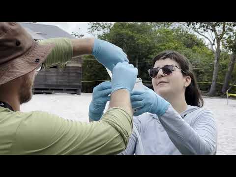 Reportage XPRIZE