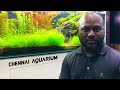 How to Maintain Ultra Clear Fish Tank & Exotic planted Aquariums With Mr.Francis | CHENNAI AQUARIUM