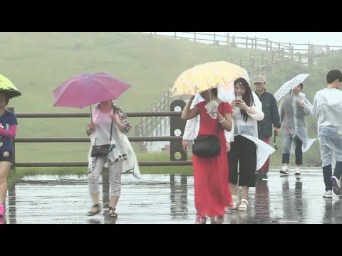 제주 올해 첫 장맛비…내륙 폭염 속 '지각장마' / 연합뉴스TV (YonhapnewsTV)