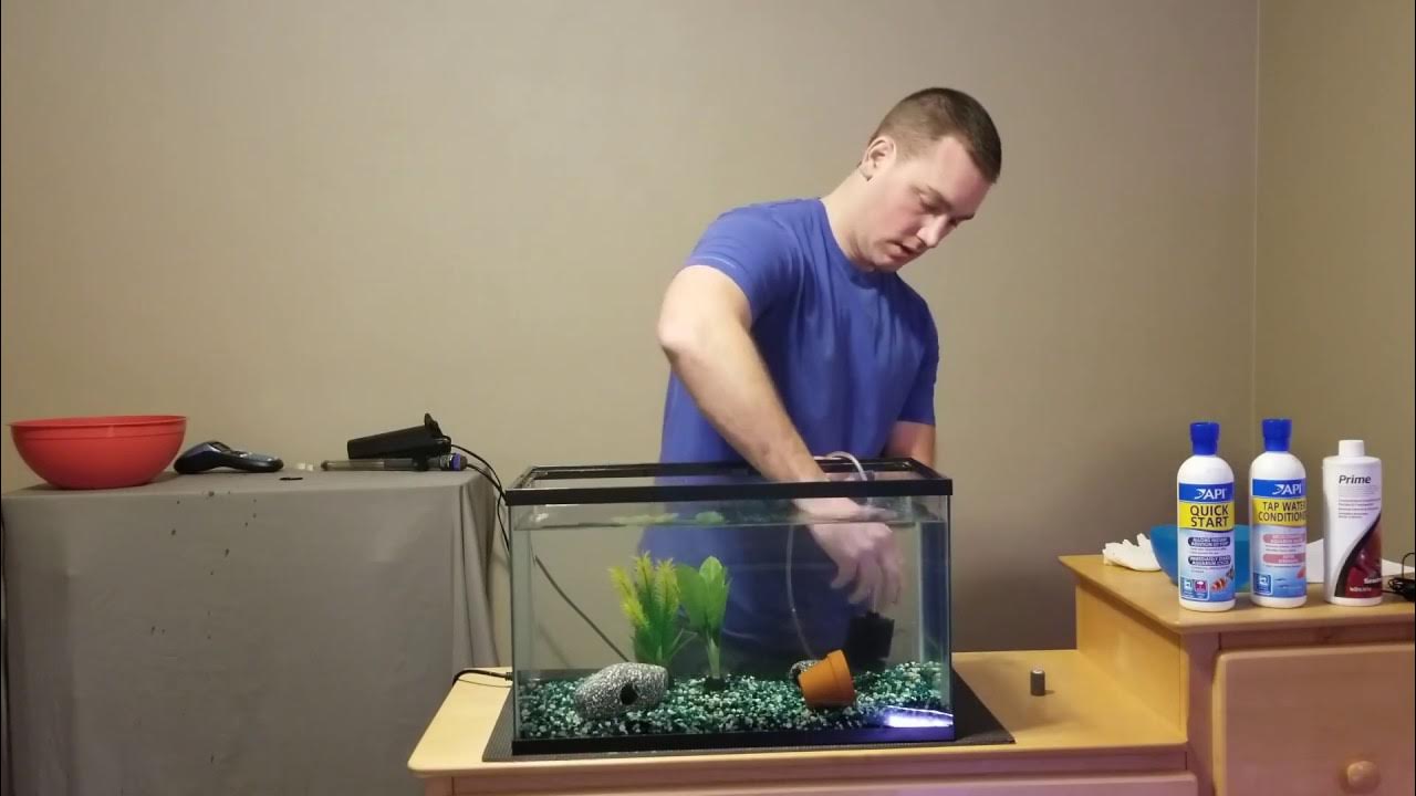 How to set up a fish tank. YouTube