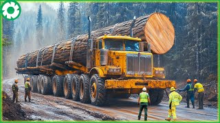 Extremely Jaw-Dropping Dangerous Monster Wood Truck Driving Skill | Biggest Heavy Machinery Machines Видео: Extremely Jaw-Dropping Dangerous Monster Wood Truck Driving Skill | Biggest Heavy Machinery Machines