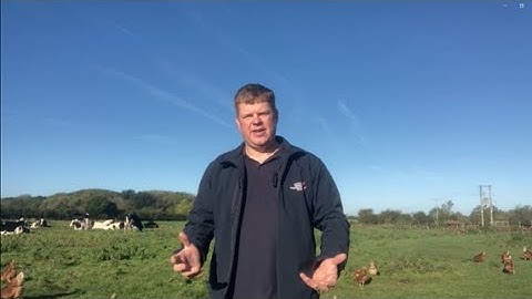 Report: Poultry Manure: storage, bi-productcapabilities & the impact on the environment.