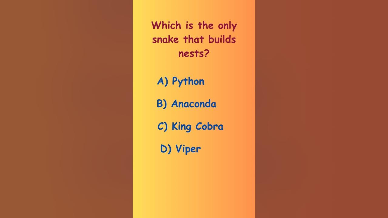 The only snake that builds nest 🐍🪺#shorts#generalknowledge - YouTube