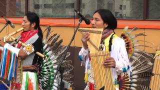 Vignette de la vidéo "Hector Loza Music from Ecuador"