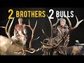 DIY Bow Hunting for Montana Elk (Eastmans' Hunting)