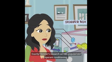 Operant Conditioning & Skinner Research (Basic Psychology: Operant Conditioning and Social Learning)