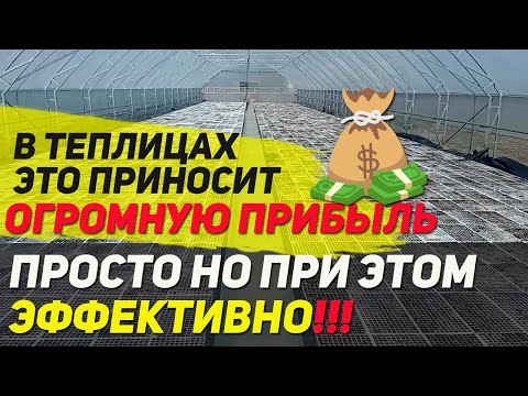 Видео: Разработка сухого молока, содержащего Lactobacillus Plantarum NCIMB 8826, иммобилизованного с пребиотическим крахмалом из кукурузы и кукурузы, и выживания в условиях имитации желуд