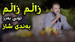 Mariwan Sarawi (Zalm Zalm) Danishtni Hezi Haremi Taha Ali