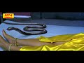 #Desi Sexy Video 2021#Did this snake mince this girl || Stay away from this video.|Bhojpuri..