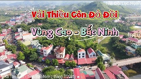 THĂM VƯỜN VẢI NHÀ CHÚ KIÊN TẠI LÀNG HÓA- TÂN SƠN - BẮC NINH I NÚI ĐỒI LỤC NGẠN