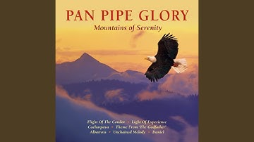 Direct 2 Brain - Sector B