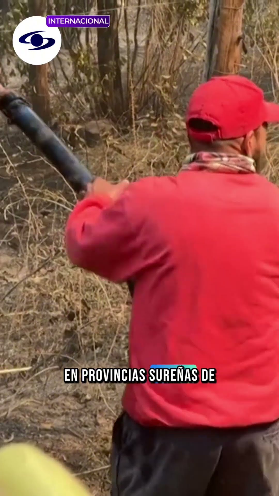 Lo último en noticias