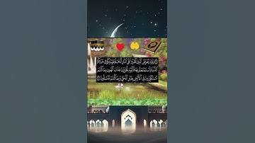 سوره الاحقاف الآية 20 ويوم بعرض الذين كفروا على القران الكريم