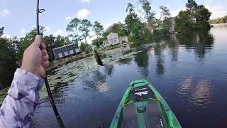 New kayak out for a spin.… #Scumfrog always gets it done largemouth