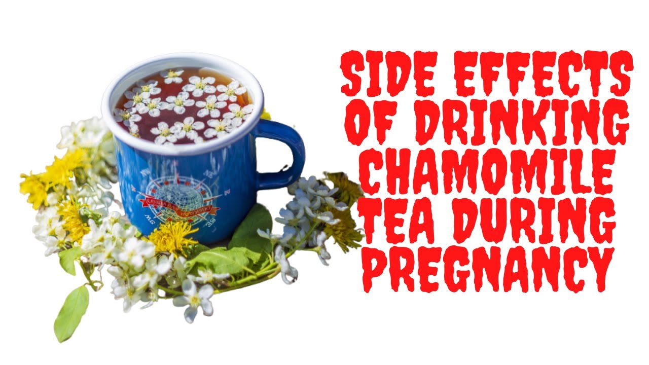 Side Effects Of Drinking Chamomile Tea During Pregnancy YouTube