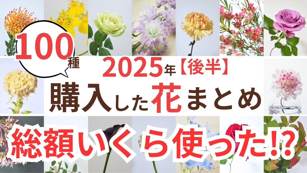 【後編】100種の2025年7月～12月に購入した花を紹介！総額いくらつかった！？