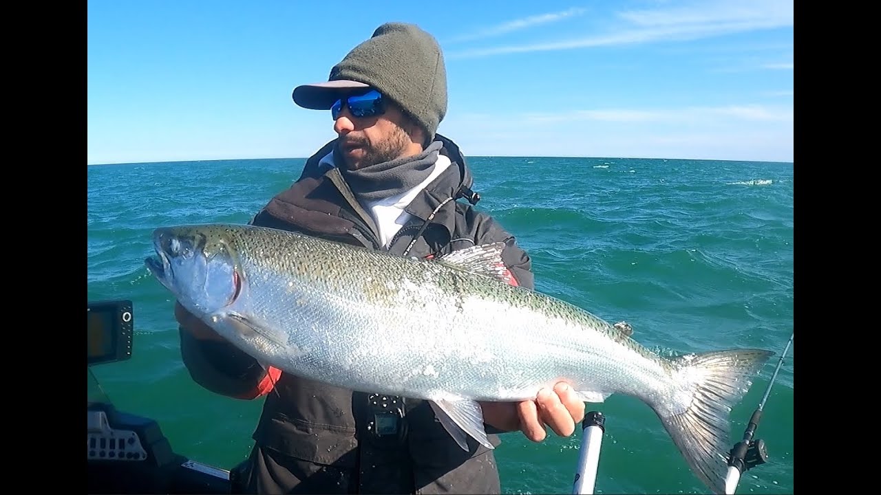 Ранней весной в озере Мичиган водится кижуч – ВНИМАНИЕ!