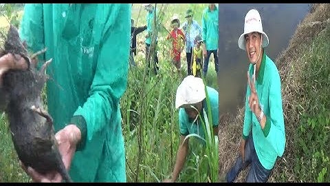 NHỮNG PHA BẮT CHUỘT QUÁ ĐỈNH - GIAO LƯU CÙNG GIA ĐÌNH ANH TÂM SA ĐÉC - PHẦN 1