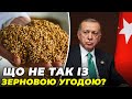 🔴НЕ ЗЕРНОМ ЄДИНИМ: Україна може заробляти В РАЗИ БІЛЬШЕ, якщо експортуватиме  різні види продукції