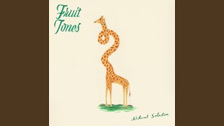 Video thumbnail of "Fruit Tones - Invisible Ink"