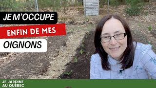 Astuces pour planter les oignons et les échalotes (+ semis de carottes)